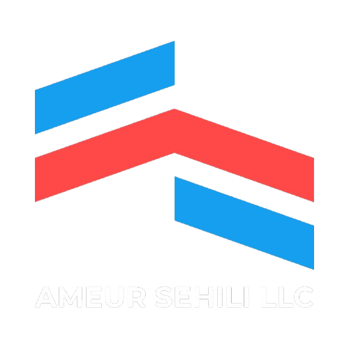 AMEUR SEHILI LLC logo